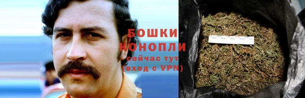 стафф Богородицк