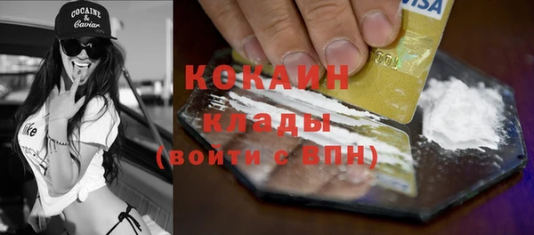 мдпв Богданович
