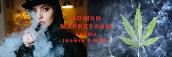 СК Богородск