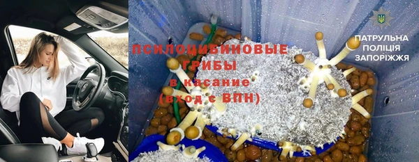 стафф Богородицк