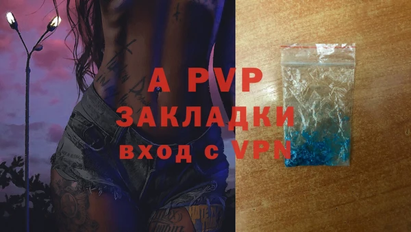 мдпв Богданович