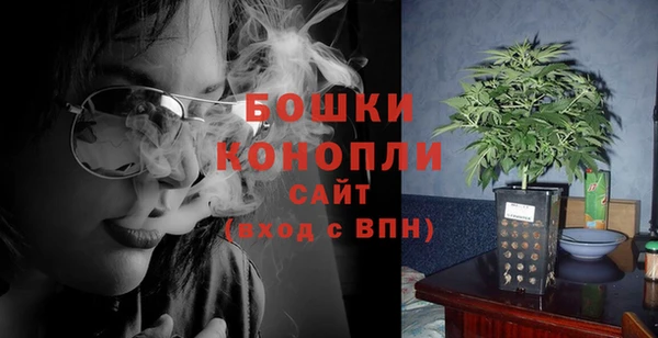 СК Богородск